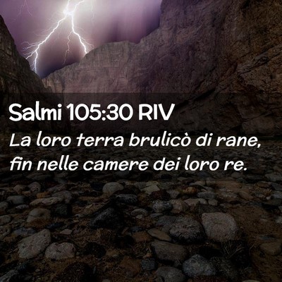 Picture 02 - Salmi 105:30 RIV - La loro terra brulicò di rane, fin nelle camere - Bible Verse Picture
