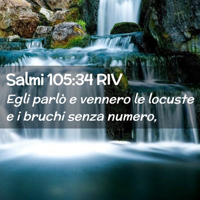 Picture 02 - Salmi 105:34 RIV - Egli parlò e vennero le locuste e i bruchi senza - Bible Verse Picture