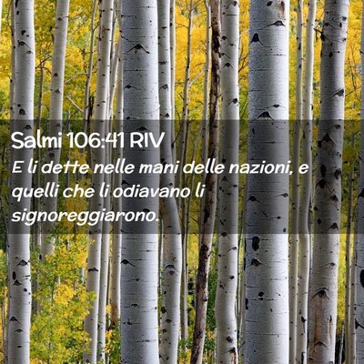 Picture 02 - Salmi 106:41 RIV - E li dette nelle mani delle nazioni, e quelli che - Bible Verse Picture