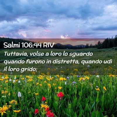 Picture 02 - Salmi 106:44 RIV - Tuttavia, volse a loro lo sguardo quando furono - Bible Verse Picture
