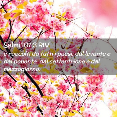 Picture 02 - Salmi 107:3 RIV - e raccolti da tutti i paesi, dal levante e dal - Bible Verse Picture