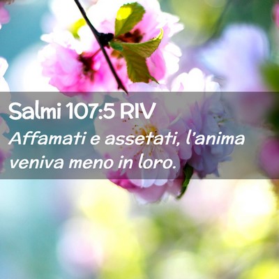 Picture 02 - Salmi 107:5 RIV - Affamati e assetati, l’anima veniva meno in - Bible Verse Picture