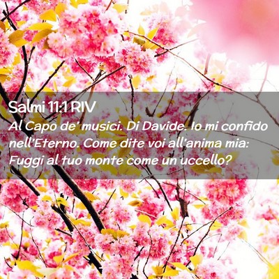 Picture 02 - Salmi 11:1 RIV - Al Capo de’ musici. Di Davide. Io mi confido - Bible Verse Picture