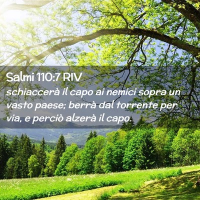 Picture 02 - Salmi 110:7 RIV - schiaccerà il capo ai nemici sopra un vasto - Bible Verse Picture