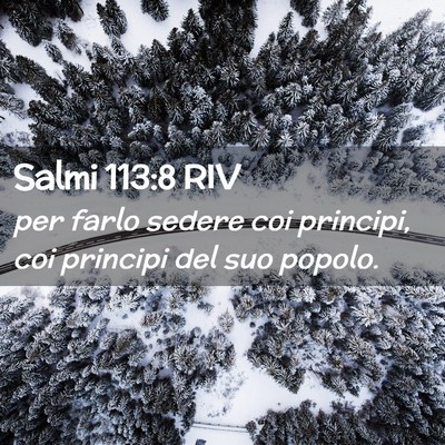 Picture 02 - Salmi 113:8 RIV - per farlo sedere coi principi, coi principi del - Bible Verse Picture