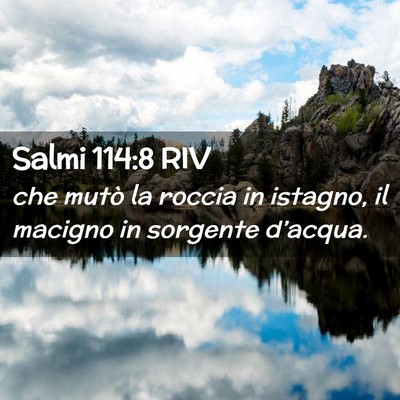 Picture 02 - Salmi 114:8 RIV - che mutò la roccia in istagno, il macigno in - Bible Verse Picture
