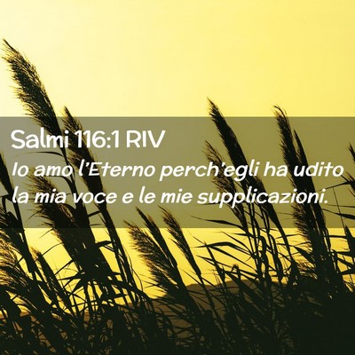 Picture 02 - Salmi 116:1 RIV - Io amo l’Eterno perch’egli ha udito la mia - Bible Verse Picture