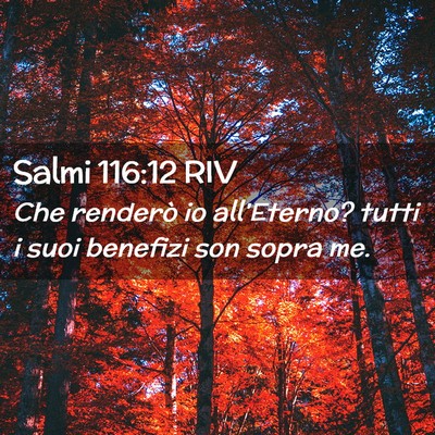 Picture 02 - Salmi 116:12 RIV - Che renderò io all’Eterno? tutti i suoi - Bible Verse Picture
