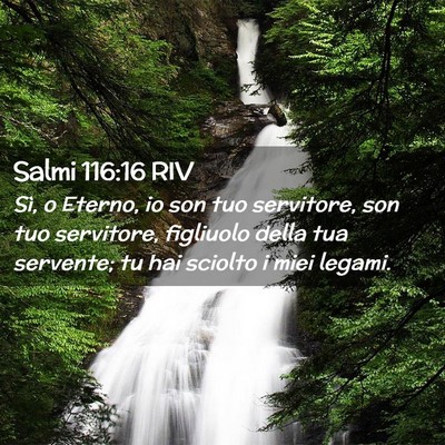 Picture 02 - Salmi 116:16 RIV - Sì, o Eterno, io son tuo servitore, son tuo - Bible Verse Picture