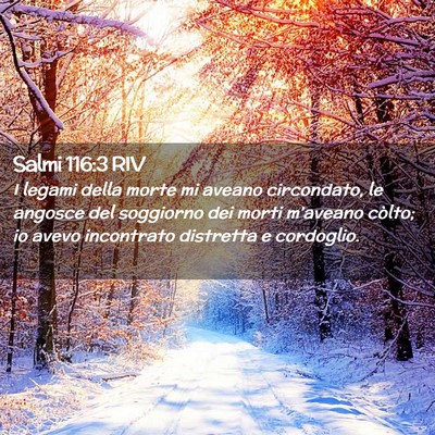 Picture 02 - Salmi 116:3 RIV - I legami della morte mi aveano circondato, le - Bible Verse Picture