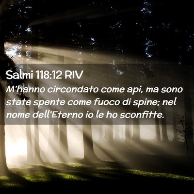 Picture 02 - Salmi 118:12 RIV - M’hanno circondato come api, ma sono state - Bible Verse Picture
