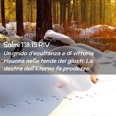 Picture 02 - Salmi 118:15 RIV - Un grido d’esultanza e di vittoria risuona - Bible Verse Picture