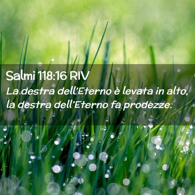 Picture 02 - Salmi 118:16 RIV - La destra dell’Eterno è levata in alto, la - Bible Verse Picture