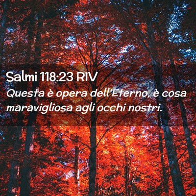 Picture 02 - Salmi 118:23 RIV - Questa è opera dell’Eterno, è cosa - Bible Verse Picture