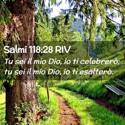Picture 02 - Salmi 118:28 RIV - Tu sei il mio Dio, io ti celebrerò; tu sei il - Bible Verse Picture