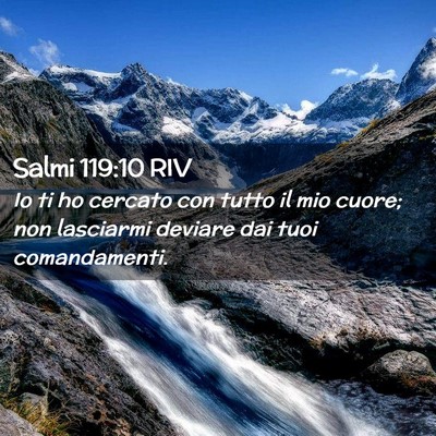 Picture 02 - Salmi 119:10 RIV - Io ti ho cercato con tutto il mio cuore; non - Bible Verse Picture
