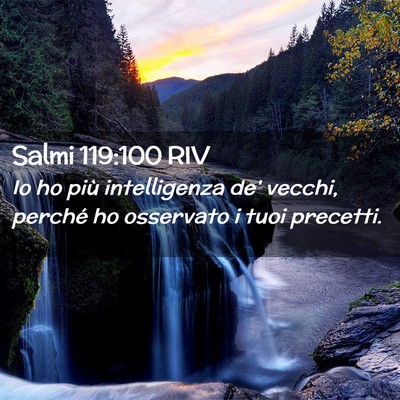Picture 02 - Salmi 119:100 RIV - Io ho più intelligenza de’ vecchi, perché ho - Bible Verse Picture