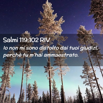 Picture 02 - Salmi 119:102 RIV - Io non mi sono distolto dai tuoi giudizi, perché - Bible Verse Picture