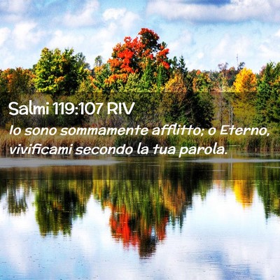 Picture 02 - Salmi 119:107 RIV - Io sono sommamente afflitto; o Eterno, vivificami - Bible Verse Picture