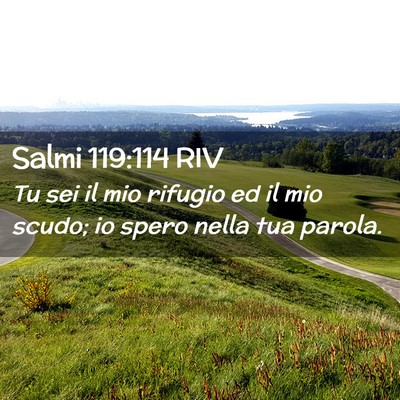 Picture 02 - Salmi 119:114 RIV - Tu sei il mio rifugio ed il mio scudo; io spero - Bible Verse Picture
