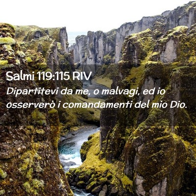 Picture 02 - Salmi 119:115 RIV - Dipartitevi da me, o malvagi, ed io osserverò i - Bible Verse Picture