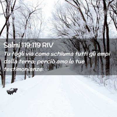 Picture 02 - Salmi 119:119 RIV - Tu togli via come schiuma tutti gli empi dalla - Bible Verse Picture