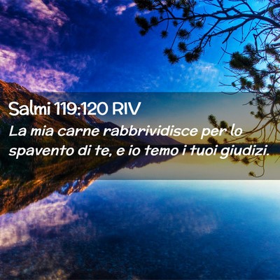 Picture 02 - Salmi 119:120 RIV - La mia carne rabbrividisce per lo spavento di te, - Bible Verse Picture