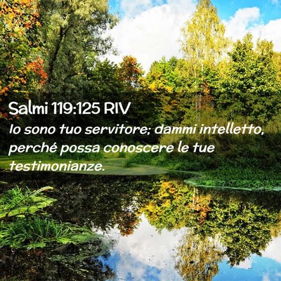 Picture 02 - Salmi 119:125 RIV - Io sono tuo servitore; dammi intelletto, perché - Bible Verse Picture