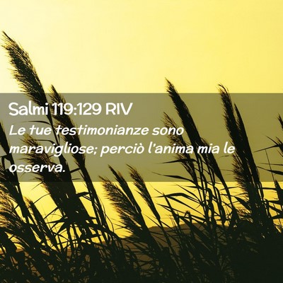 Picture 02 - Salmi 119:129 RIV - Le tue testimonianze sono maravigliose; perciò - Bible Verse Picture