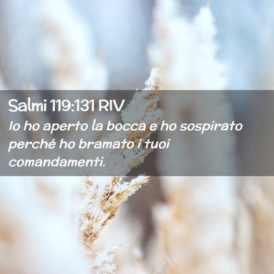 Picture 02 - Salmi 119:131 RIV - Io ho aperto la bocca e ho sospirato perché ho - Bible Verse Picture