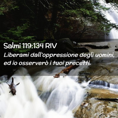 Picture 02 - Salmi 119:134 RIV - Liberami dall’oppressione degli uomini, ed io - Bible Verse Picture