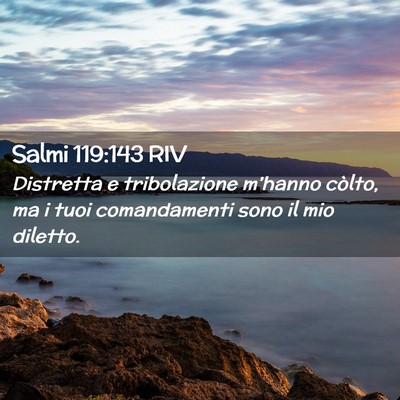 Picture 02 - Salmi 119:143 RIV - Distretta e tribolazione m’hanno còlto, ma i - Bible Verse Picture