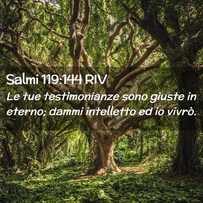 Picture 02 - Salmi 119:144 RIV - Le tue testimonianze sono giuste in eterno; dammi - Bible Verse Picture