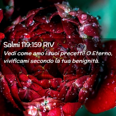 Picture 02 - Salmi 119:159 RIV - Vedi come amo i tuoi precetti! O Eterno, - Bible Verse Picture
