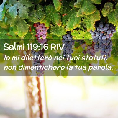 Picture 02 - Salmi 119:16 RIV - Io mi diletterò nei tuoi statuti, non - Bible Verse Picture