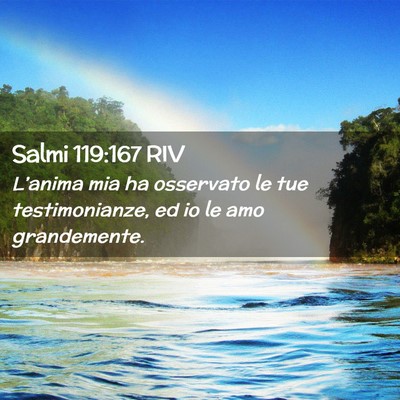 Picture 02 - Salmi 119:167 RIV - L’anima mia ha osservato le tue testimonianze, - Bible Verse Picture
