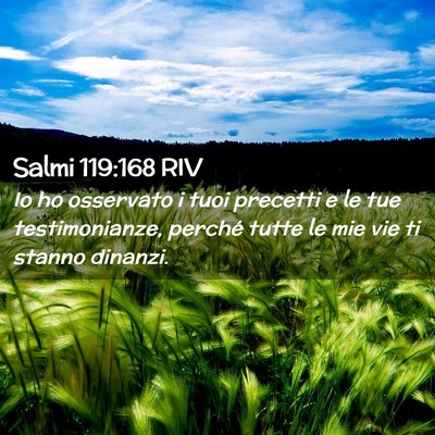 Picture 02 - Salmi 119:168 RIV - Io ho osservato i tuoi precetti e le tue - Bible Verse Picture