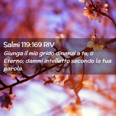 Picture 02 - Salmi 119:169 RIV - Giunga il mio grido dinanzi a te, o Eterno; dammi - Bible Verse Picture