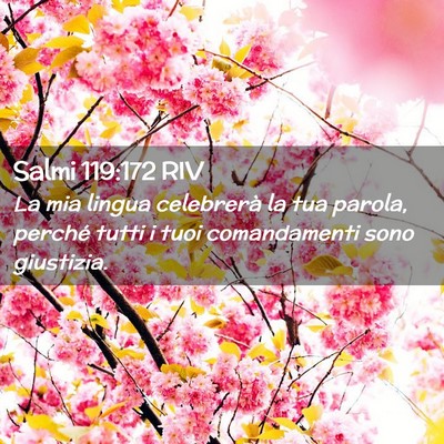 Picture 02 - Salmi 119:172 RIV - La mia lingua celebrerà la tua parola, perché - Bible Verse Picture