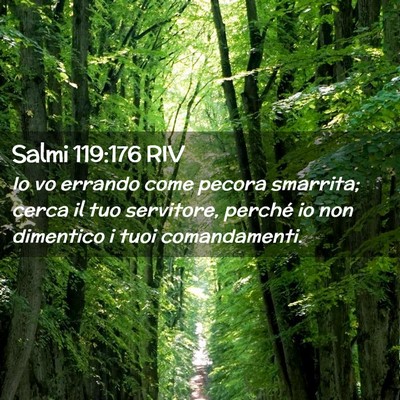 Picture 02 - Salmi 119:176 RIV - Io vo errando come pecora smarrita; cerca il tuo - Bible Verse Picture