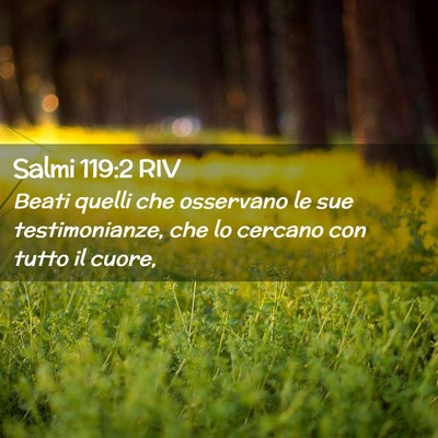Picture 02 - Salmi 119:2 RIV - Beati quelli che osservano le sue testimonianze, - Bible Verse Picture
