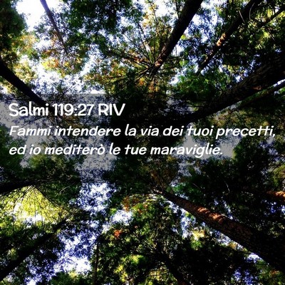 Picture 02 - Salmi 119:27 RIV - Fammi intendere la via dei tuoi precetti, ed io - Bible Verse Picture