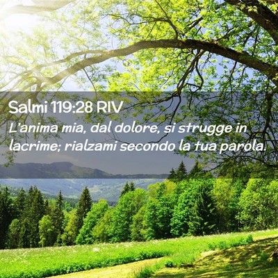 Picture 02 - Salmi 119:28 RIV - L’anima mia, dal dolore, si strugge in lacrime; - Bible Verse Picture