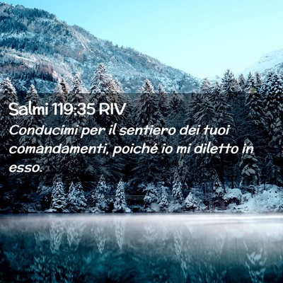 Picture 02 - Salmi 119:35 RIV - Conducimi per il sentiero dei tuoi comandamenti, - Bible Verse Picture