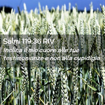 Picture 02 - Salmi 119:36 RIV - Inclina il mio cuore alle tue testimonianze e non - Bible Verse Picture