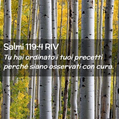 Picture 02 - Salmi 119:4 RIV - Tu hai ordinato i tuoi precetti perché siano - Bible Verse Picture