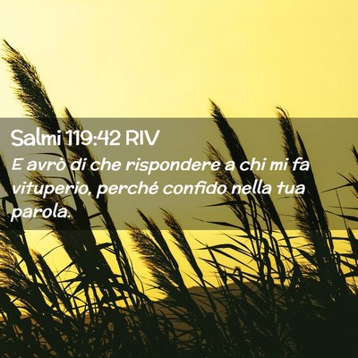 Picture 02 - Salmi 119:42 RIV - E avrò di che rispondere a chi mi fa vituperio, - Bible Verse Picture