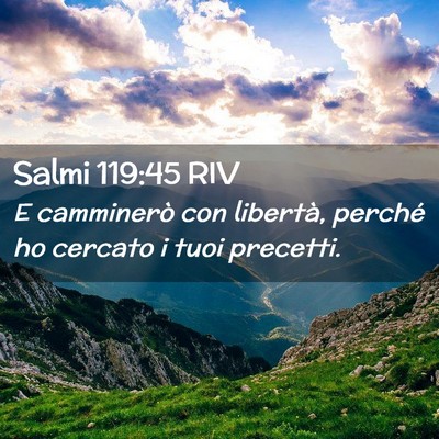 Picture 02 - Salmi 119:45 RIV - E camminerò con libertà, perché ho cercato i - Bible Verse Picture