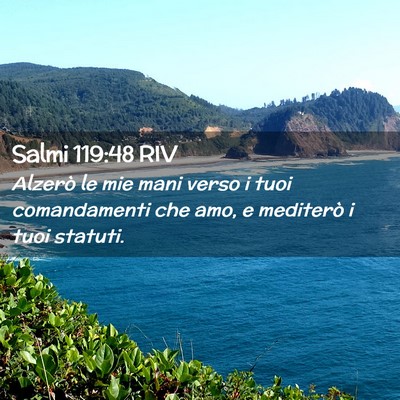 Picture 02 - Salmi 119:48 RIV - Alzerò le mie mani verso i tuoi comandamenti che - Bible Verse Picture