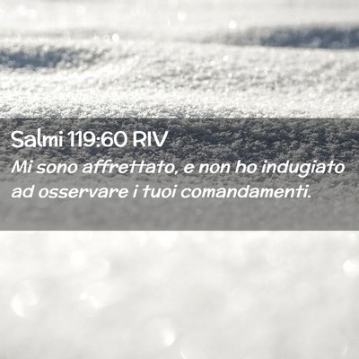 Picture 02 - Salmi 119:60 RIV - Mi sono affrettato, e non ho indugiato ad - Bible Verse Picture